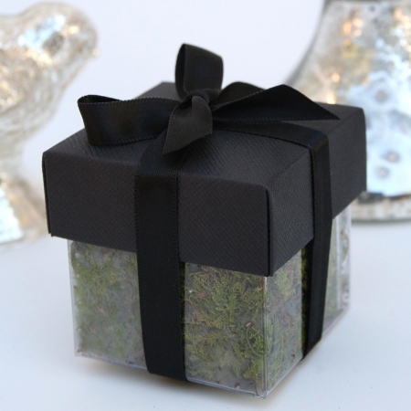 Black Lid / Black Top Double Bow