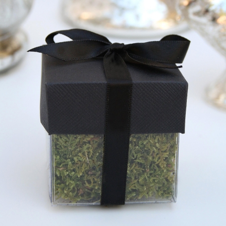 Black Lid / Black Top Single Bow