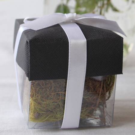 Black Lid / White Top Double Bow