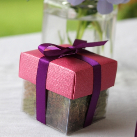 Bling Diva Pink Lid / Violet Top Double Bow