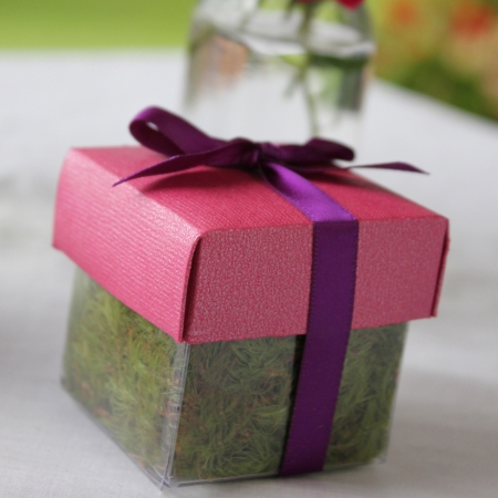 Bling Diva Pink Lid / Violet Top Single Bow