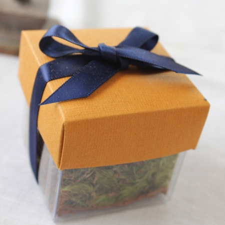 Buttercup Orange Lid / Navy Top Single Bow