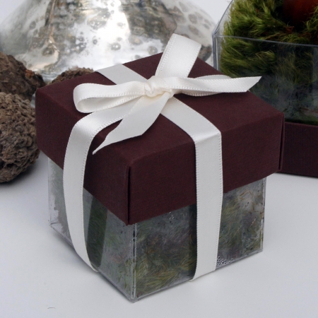 Brown Lid / Ivory Top Double Bow