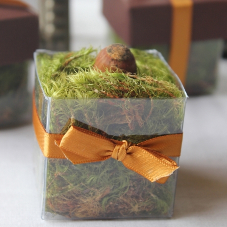 Single Front Antique Gold Bow - No Lid