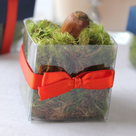 Single Front Bittersweet Bow - No Lid