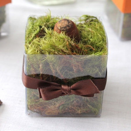 Single Front Brown Bow - No Lid