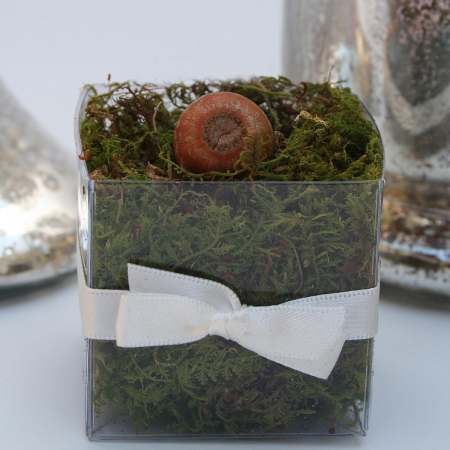 Single Front Ivory Bow - No Lid