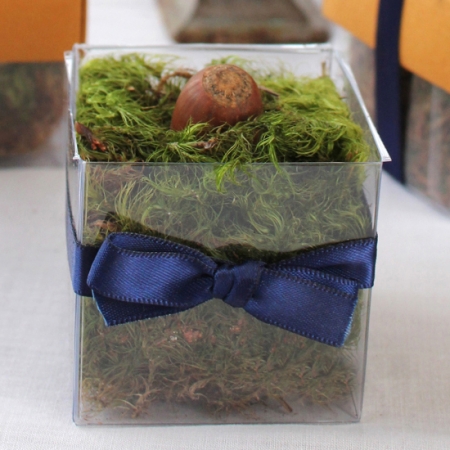 Single Front Navy Bow - No Lid