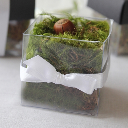 Single Front White Bow - No Lid