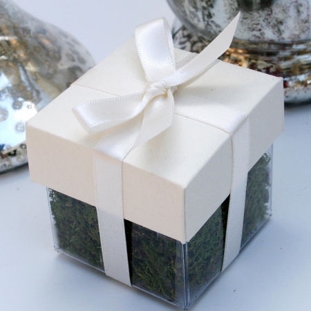 Cream Lid / Ivory Top Double Bow