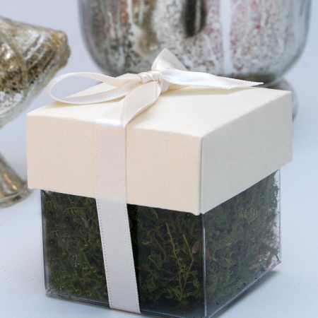 Cream Lid / Ivory Top Single Bow