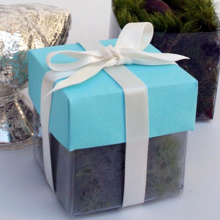 Dragonfly Turquoise Lid / Ivory Top Double Bow