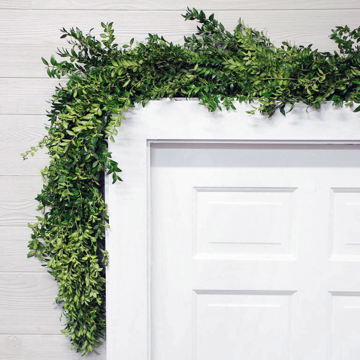 Fresh Boxwood Garland
