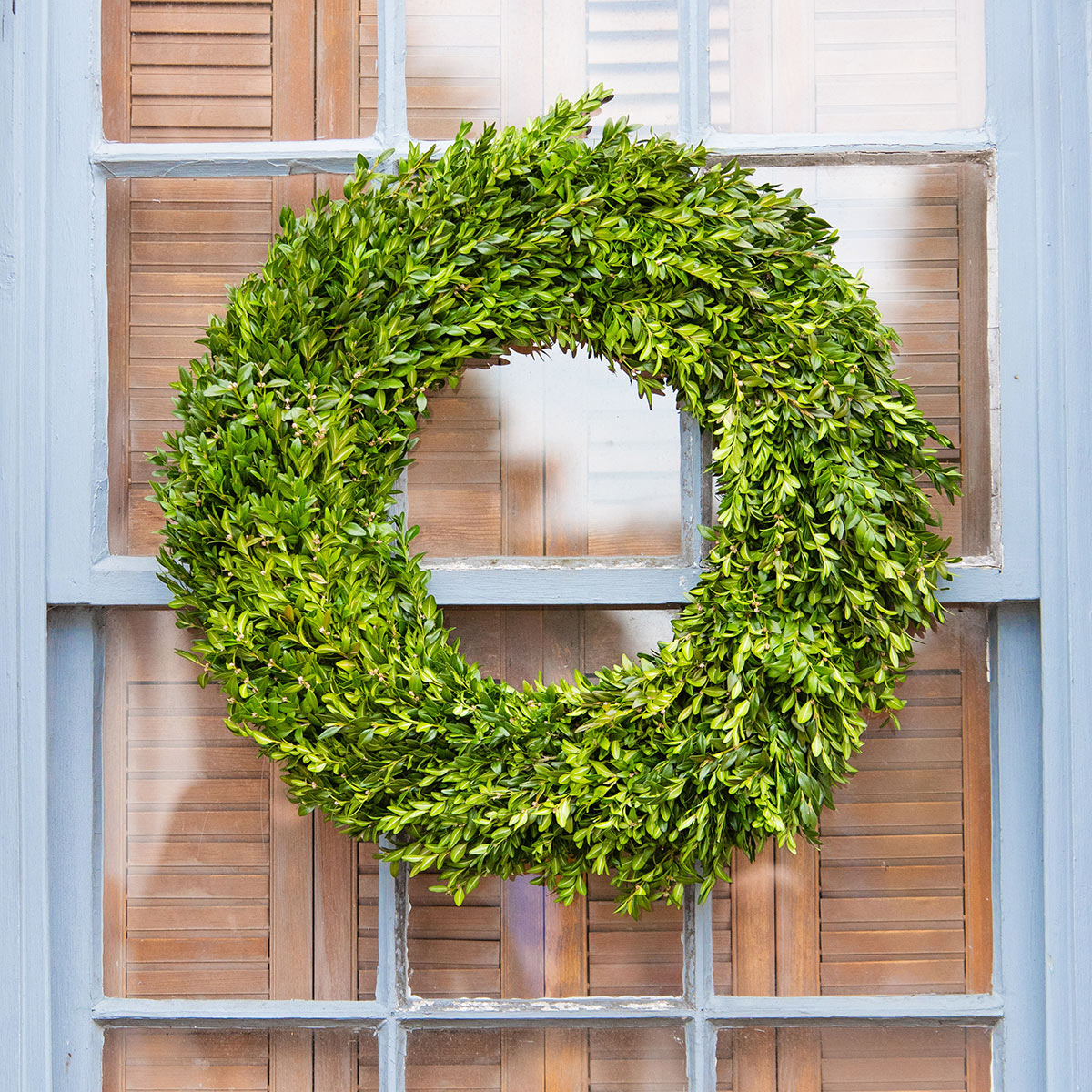 Fresh Boxwood Wreath