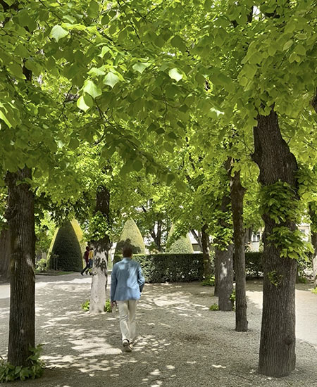 Man Walking Amongst Trees