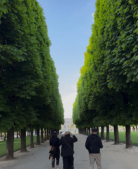 People walking along tree pathway