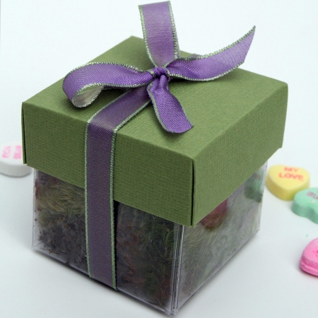 Pear Green Lid / Lavendar Top Single Bow