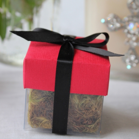 Grenadine Red Lid / Black Top Single Bow