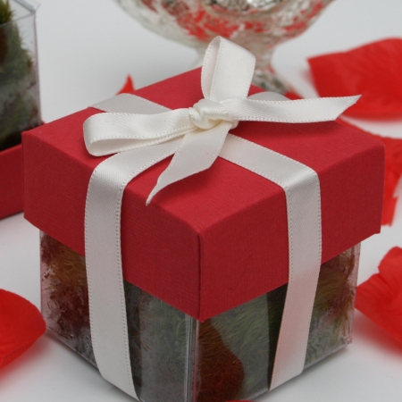 Grenadine Red Lid / Ivory Top Double Bow