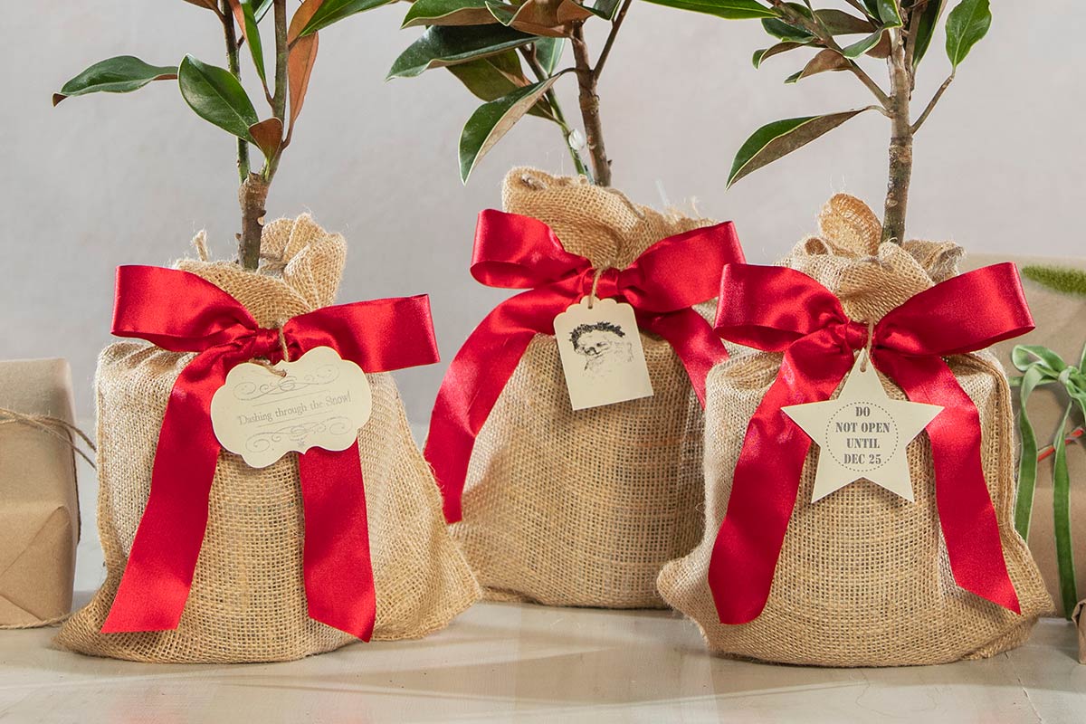 Vintage Holiday Southern Magnolia Tree