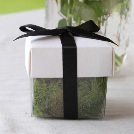 White Lid / Black Top Single Bow