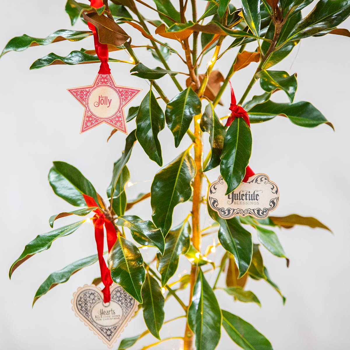 Magnolia Christmas Tree