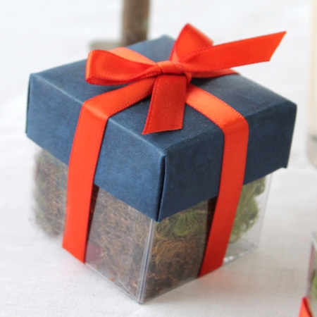 Midnight Blue Lid / Bittersweet Top Double Bow