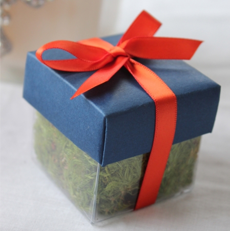 Midnight Blue Lid / Bittersweet Top Single Bow