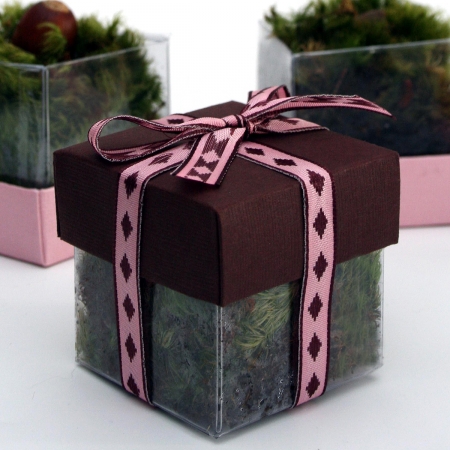 Brown Lid / Pink Diamond Top Double Bow