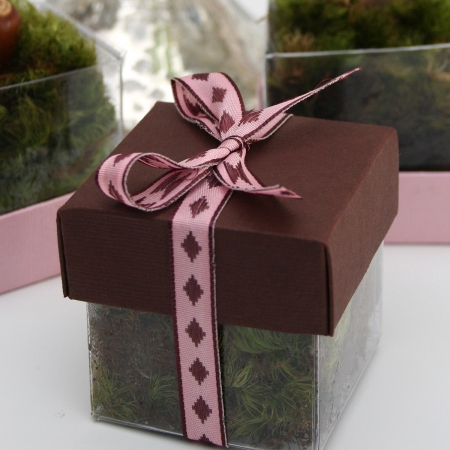 Brown Lid / Pink Diamond Top Single Bow