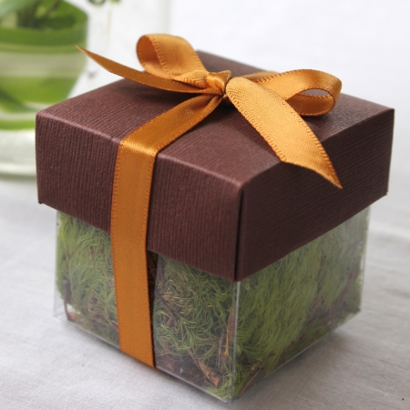 Brown Lid / Antique Gold Top Single Bow