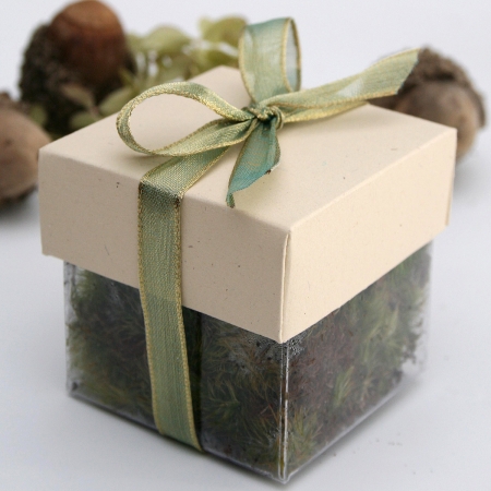 Natural Lid / Natural Green Top Single Bow