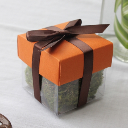 Papaya Puree Dark Lid / Brown Top Double Bow