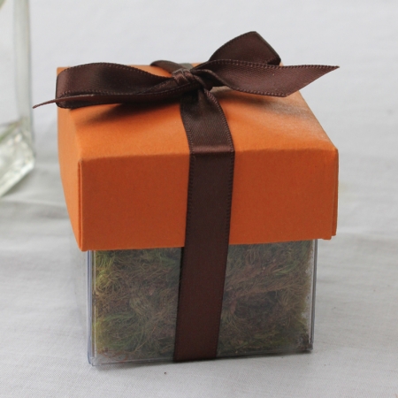 Papaya Puree Dark Lid / Brown Top Single Bow