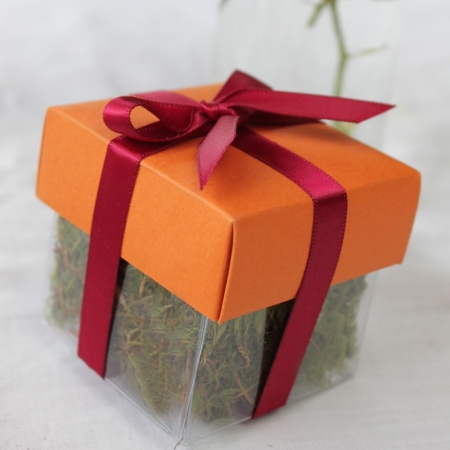 Papaya Puree Dark Lid / Burgundy Top Double Bow