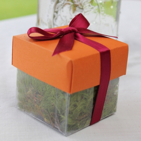 Papaya Puree Dark Lid / Burgundy Top Single Bow