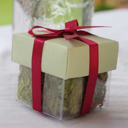 Pear Green Lid / Burgundy Top Double Bow