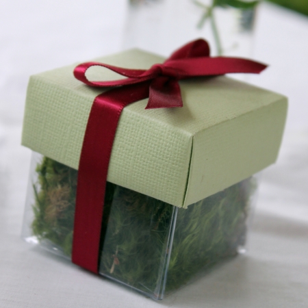 Pear Green Lid / Burgundy Top Single Bow