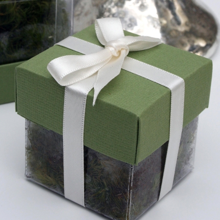 Pear Green Lid / Ivory Top Double Bow