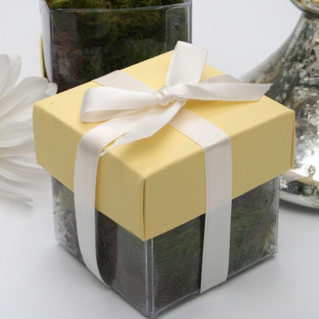 Pollen Yellow Lid / Ivory Top Double Bow