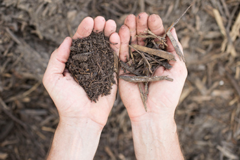 Mulch