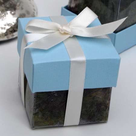 Seawater Blue Lid / Ivory Top Double Bow