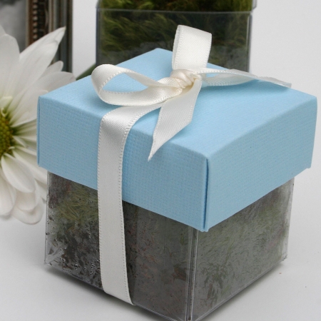 Seawater Blue Lid / Ivory Top Single Bow