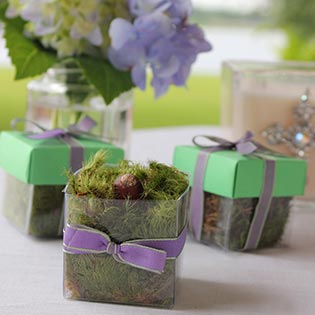 Grasshopper Green / Lavender