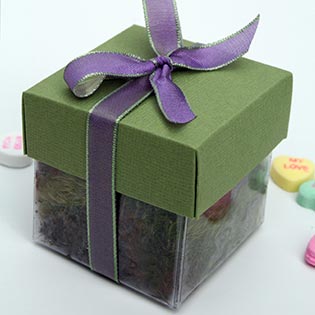 Pear Green / Lavender