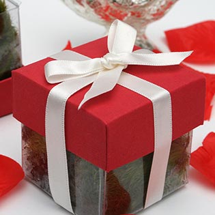 Grenadine Red / Ivory