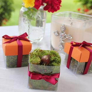 Papaya Puree Dark / Burgundy