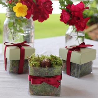 Pear Green / Dark Burgundy